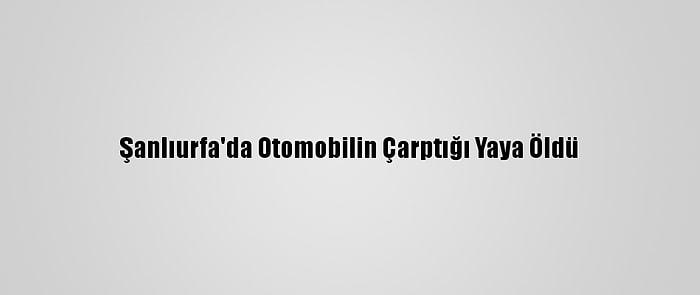 Şanlıurfa'da Otomobilin Çarptığı Yaya Öldü
