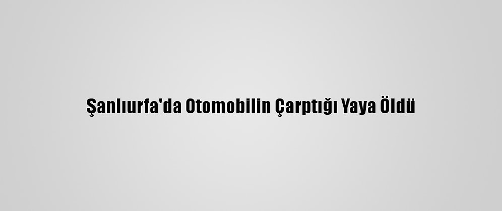 Şanlıurfa'da Otomobilin Çarptığı Yaya Öldü