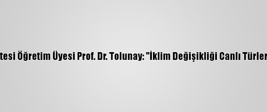 İstanbul Üniversitesi Öğretim Üyesi Prof. Dr. Tolunay: "İklim Değişikliği Canlı Türlerini Tehdit Ediyor"