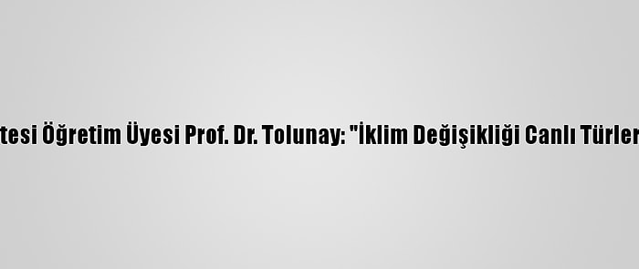 İstanbul Üniversitesi Öğretim Üyesi Prof. Dr. Tolunay: "İklim Değişikliği Canlı Türlerini Tehdit Ediyor"