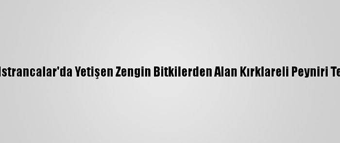 Lezzetini Istrancalar'da Yetişen Zengin Bitkilerden Alan Kırklareli Peyniri Tescillendi