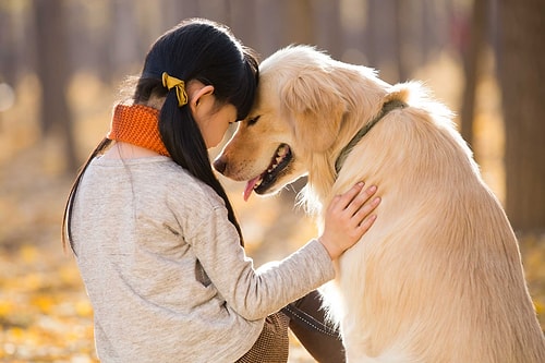 Köpeklerin İlk Kez Ne Zaman ve Nerede Evcilleştirildiği Bulundu