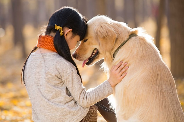"Köpeklerin Sibirya’da bir yerlerde bulunmuş olmaları gerektiğini biliyoruz"