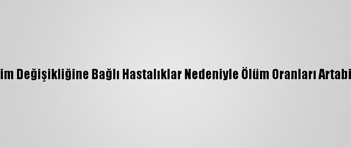 İklim Değişikliğine Bağlı Hastalıklar Nedeniyle Ölüm Oranları Artabilir