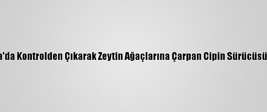 Bursa'da Kontrolden Çıkarak Zeytin Ağaçlarına Çarpan Cipin Sürücüsü Öldü