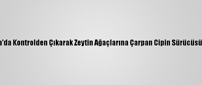 Bursa'da Kontrolden Çıkarak Zeytin Ağaçlarına Çarpan Cipin Sürücüsü Öldü