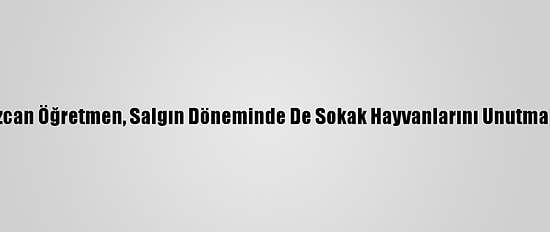 Özcan Öğretmen, Salgın Döneminde De Sokak Hayvanlarını Unutmadı