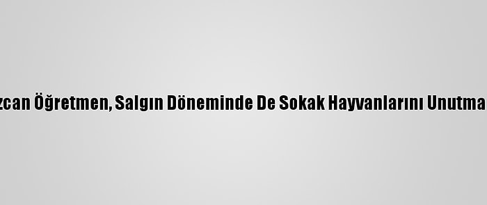 Özcan Öğretmen, Salgın Döneminde De Sokak Hayvanlarını Unutmadı