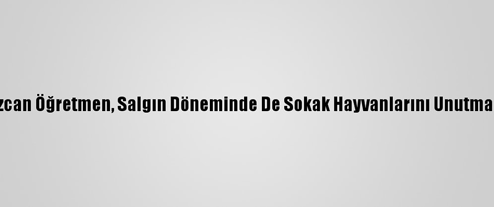 Özcan Öğretmen, Salgın Döneminde De Sokak Hayvanlarını Unutmadı