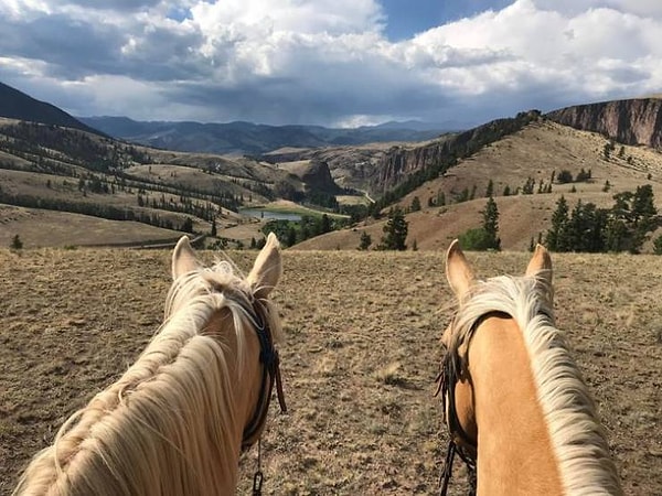 14. "Я провожу конные прогулки. Обожаю свою работу”.