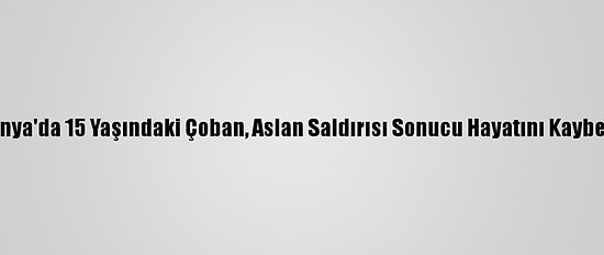 Kenya'da 15 Yaşındaki Çoban, Aslan Saldırısı Sonucu Hayatını Kaybetti