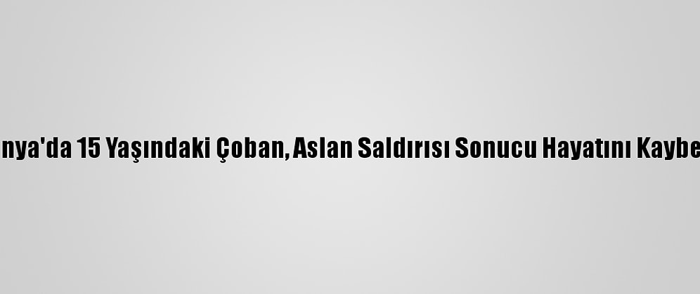 Kenya'da 15 Yaşındaki Çoban, Aslan Saldırısı Sonucu Hayatını Kaybetti