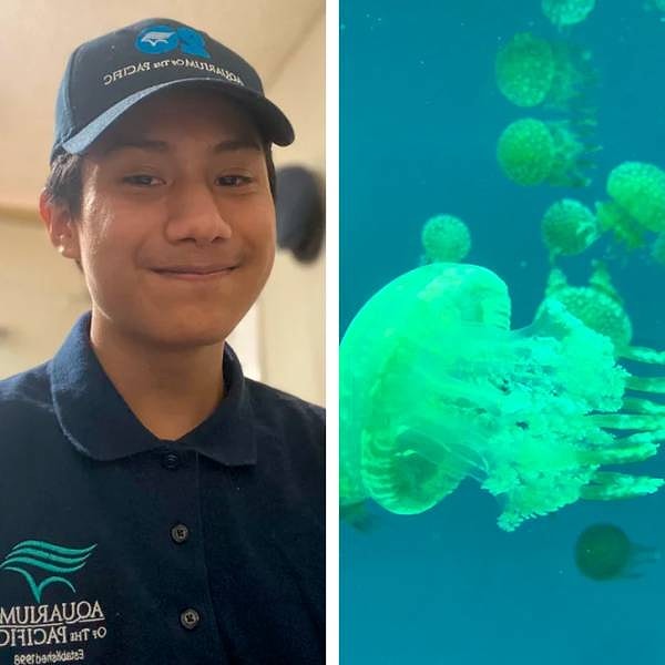 8. "Я просто обожаю изучать морских обитателей и наконец-то начал заниматься любимым делом, устроившись волонтером в океанариум, куда любил ходить в детстве".