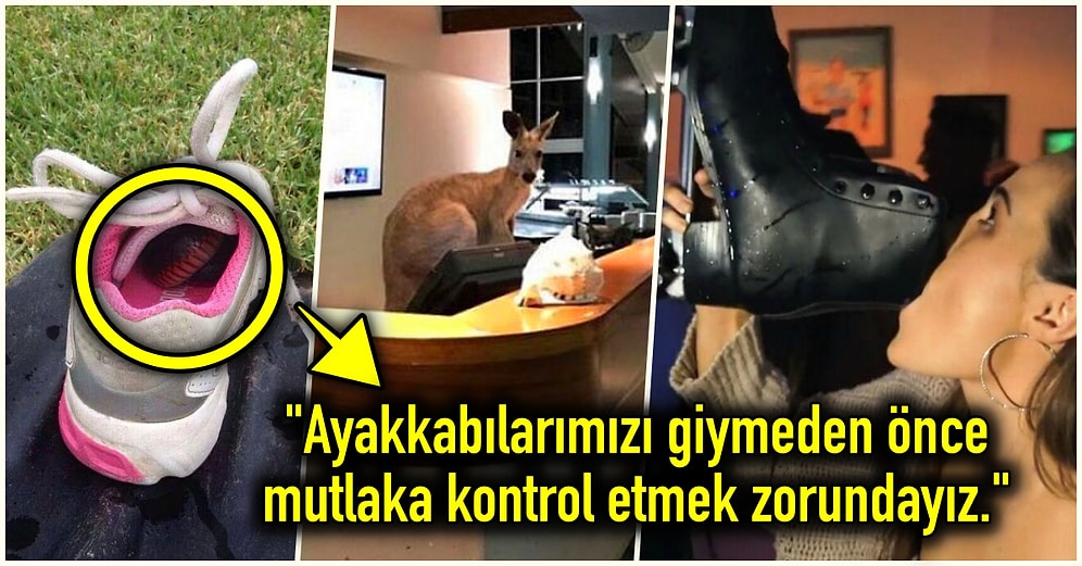 Sadece Avustralya’da Yaşayan İnsanların Görebileceği Birbirinden Şaşırtıcı 21 Durum