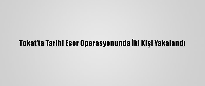 Tokat'ta Tarihi Eser Operasyonunda İki Kişi Yakalandı