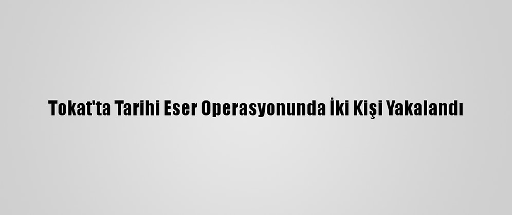 Tokat'ta Tarihi Eser Operasyonunda İki Kişi Yakalandı