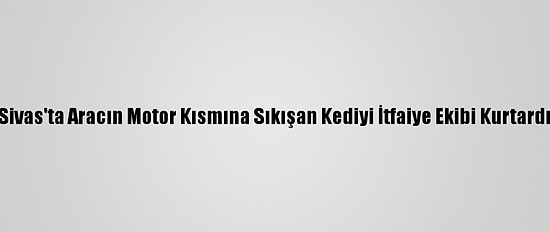 Sivas'ta Aracın Motor Kısmına Sıkışan Kediyi İtfaiye Ekibi Kurtardı
