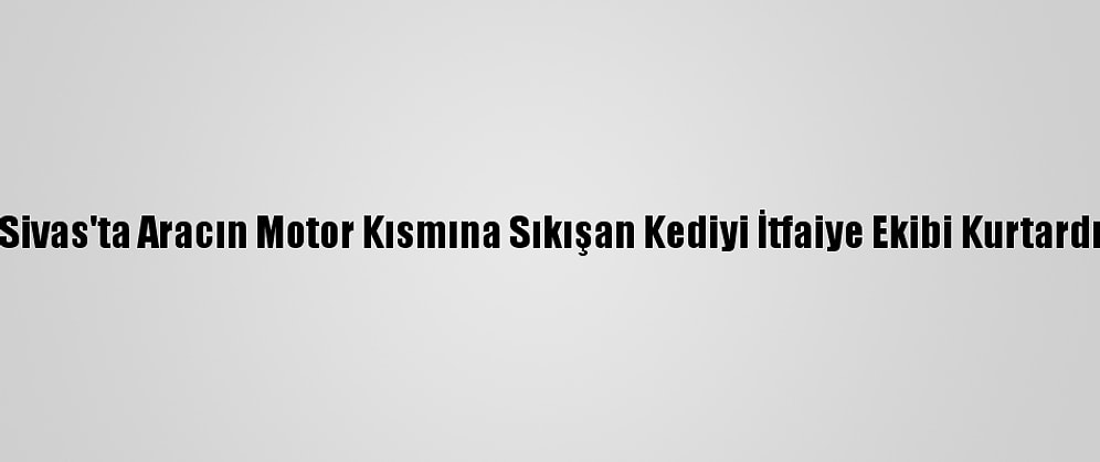Sivas'ta Aracın Motor Kısmına Sıkışan Kediyi İtfaiye Ekibi Kurtardı