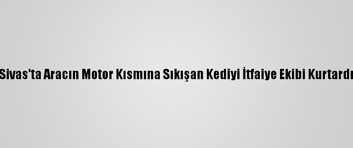 Sivas'ta Aracın Motor Kısmına Sıkışan Kediyi İtfaiye Ekibi Kurtardı