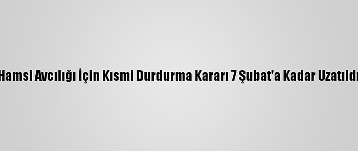 Hamsi Avcılığı İçin Kısmi Durdurma Kararı 7 Şubat'a Kadar Uzatıldı