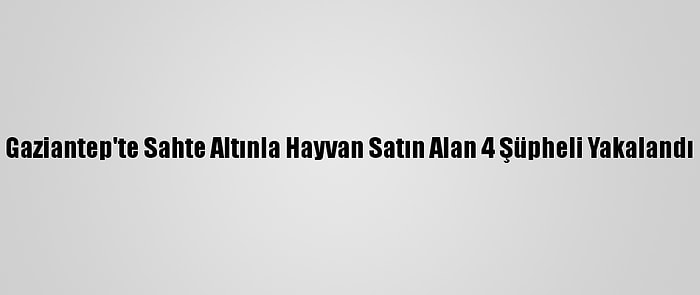 Gaziantep'te Sahte Altınla Hayvan Satın Alan 4 Şüpheli Yakalandı