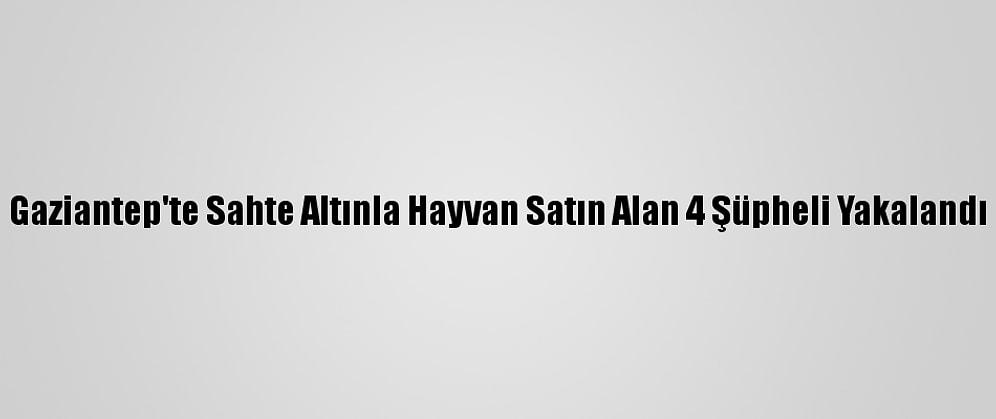 Gaziantep'te Sahte Altınla Hayvan Satın Alan 4 Şüpheli Yakalandı