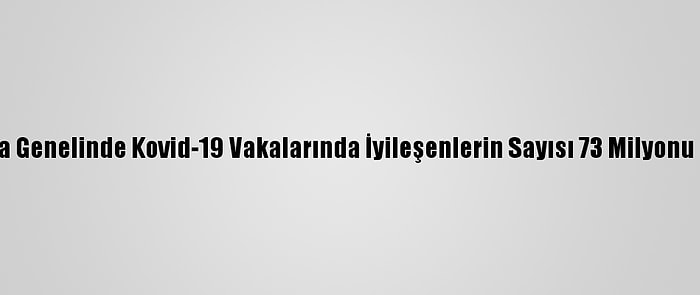 Dünya Genelinde Kovid-19 Vakalarında İyileşenlerin Sayısı 73 Milyonu Geçti