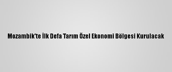 Mozambik'te İlk Defa Tarım Özel Ekonomi Bölgesi Kurulacak