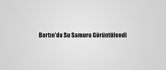 Bartın'da Su Samuru Görüntülendi