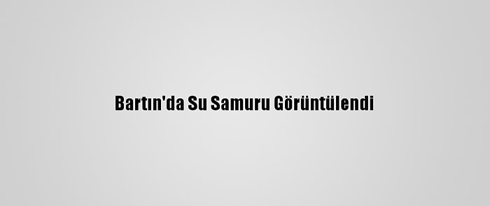 Bartın'da Su Samuru Görüntülendi