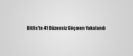 Bitlis'te 41 Düzensiz Göçmen Yakalandı