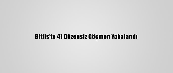 Bitlis'te 41 Düzensiz Göçmen Yakalandı