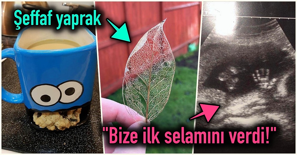 Hep Aynı Şeyleri Görmekten Sıkılanları İlginçliğe Doyuracak Birbirinden Acayip 15 Yeni Görsel