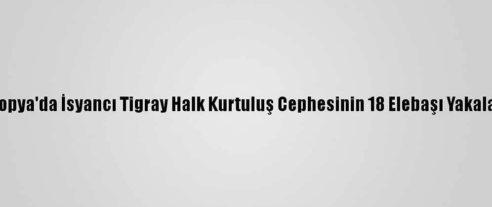 Etiyopya'da İsyancı Tigray Halk Kurtuluş Cephesinin 18 Elebaşı Yakalandı