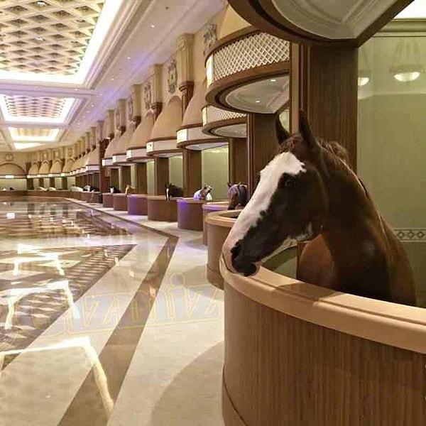12. Sadece atlara özel bir otel