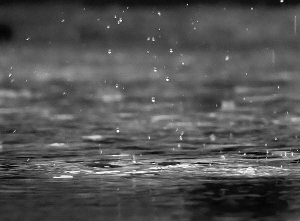 Hem yağmurun hem de ıslak toprağın kokusu inkar edilemez bir zevk duygusu yaratıyor. Peki yağmurla gelen huzurlu rahatlamayı tetikleyen şey nedir?