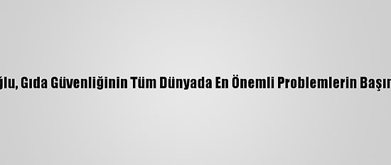 Prof. Dr. Zeynep Zaimoğlu, Gıda Güvenliğinin Tüm Dünyada En Önemli Problemlerin Başında Geleceğini Belirtti
