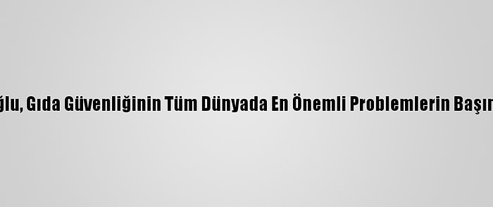 Prof. Dr. Zeynep Zaimoğlu, Gıda Güvenliğinin Tüm Dünyada En Önemli Problemlerin Başında Geleceğini Belirtti