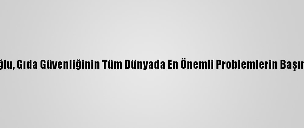 Prof. Dr. Zeynep Zaimoğlu, Gıda Güvenliğinin Tüm Dünyada En Önemli Problemlerin Başında Geleceğini Belirtti