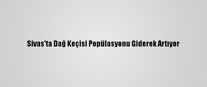 Sivas'ta Dağ Keçisi Popülasyonu Giderek Artıyor