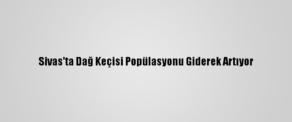 Sivas'ta Dağ Keçisi Popülasyonu Giderek Artıyor