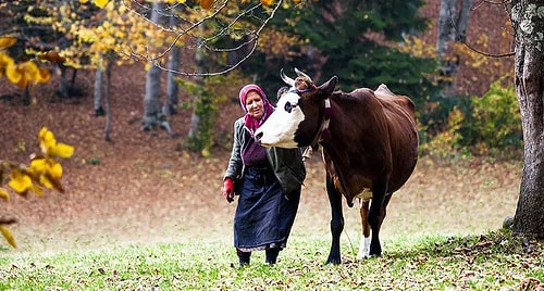 Karadeniz'de Tüm Zamanların Sıcaklık Rekoru Kırıldı