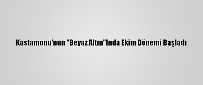 Kastamonu'nun "Beyaz Altın"Inda Ekim Dönemi Başladı