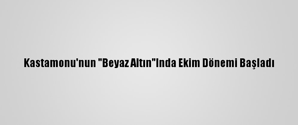 Kastamonu'nun "Beyaz Altın"Inda Ekim Dönemi Başladı