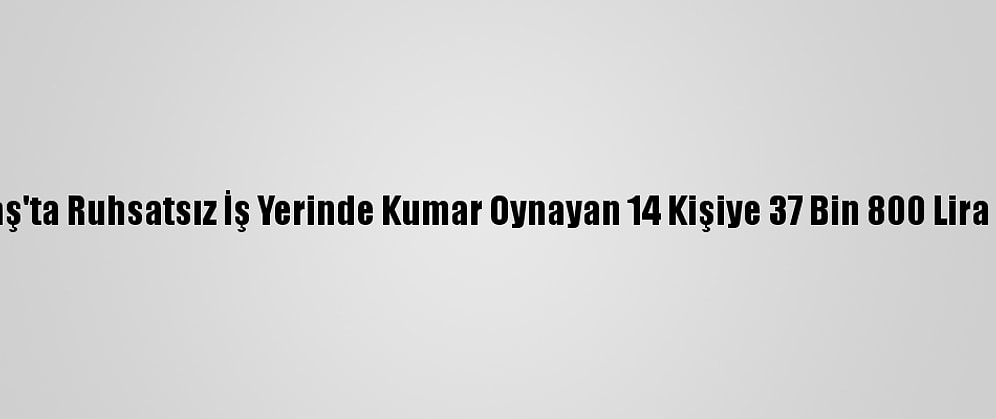 Kahramanmaraş'ta Ruhsatsız İş Yerinde Kumar Oynayan 14 Kişiye 37 Bin 800 Lira Ceza Uygulandı