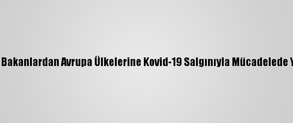 Brezilyalı Eski Bakanlardan Avrupa Ülkelerine Kovid-19 Salgınıyla Mücadelede Yardım Çağrısı