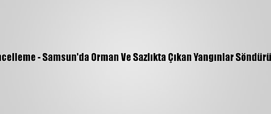 Güncelleme - Samsun'da Orman Ve Sazlıkta Çıkan Yangınlar Söndürüldü