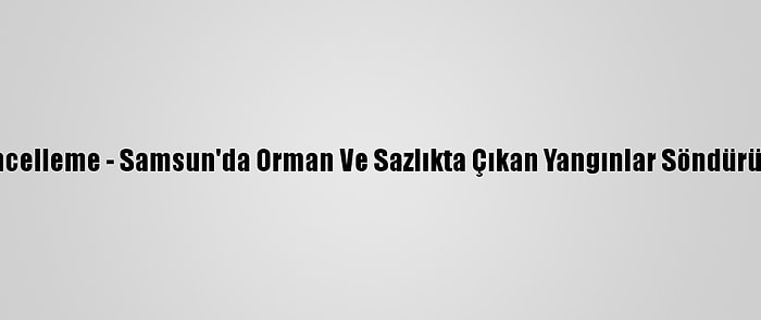 Güncelleme - Samsun'da Orman Ve Sazlıkta Çıkan Yangınlar Söndürüldü