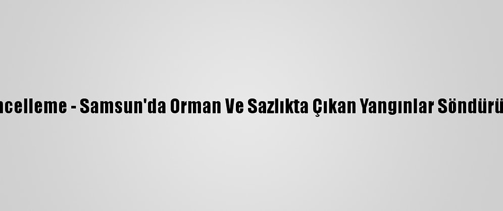 Güncelleme - Samsun'da Orman Ve Sazlıkta Çıkan Yangınlar Söndürüldü
