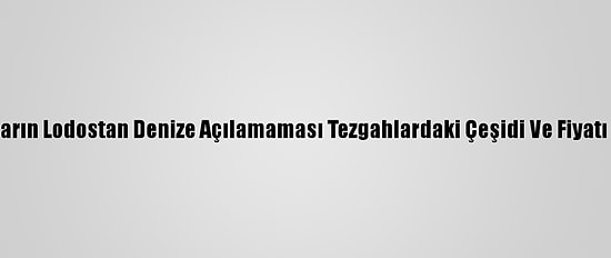 Balıkçıların Lodostan Denize Açılamaması Tezgahlardaki Çeşidi Ve Fiyatı Etkiledi